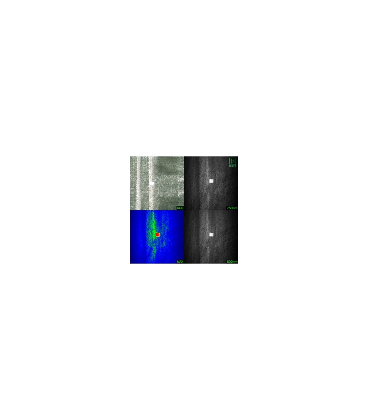 Caméra Hyperspectrale HAIP Black Bird V2