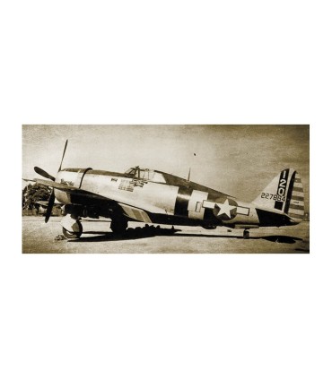Avion P-47 Razorback FMS 1m50