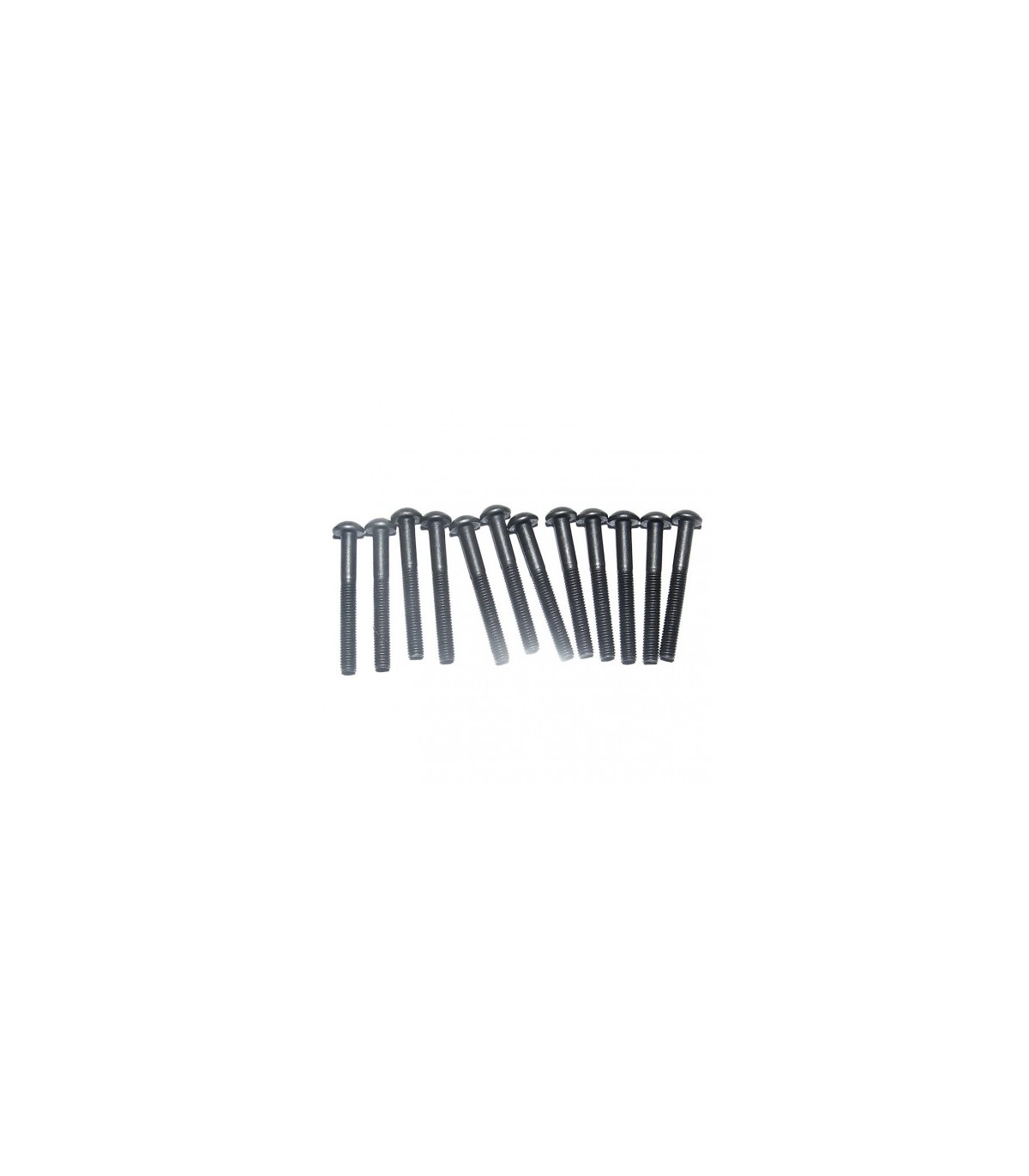 Vis BTR M3x25mm (par 12)